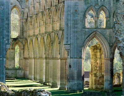 Abadia de Rievaulx, c1990-2010 de Joe Cornish