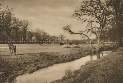 Onde Beverley Brook serpenteia através do parque de caça real de Richmond, c1935. de Joel
