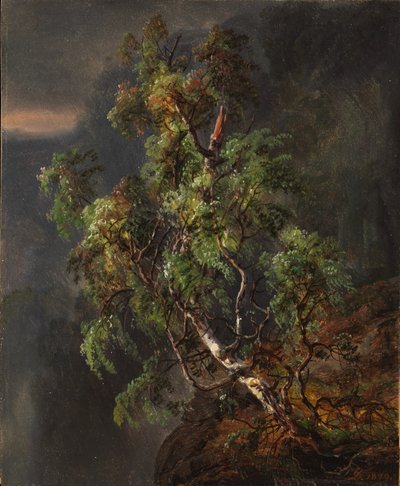 Bétula numa tempestade de Johan Christian Dahl