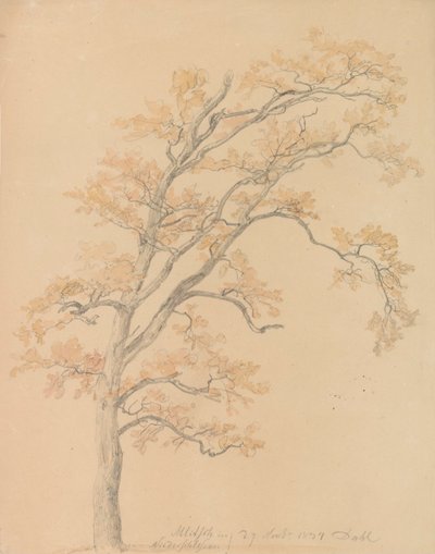 Carvalhos com folhas de outono, Milicz de Johan Christian Dahl