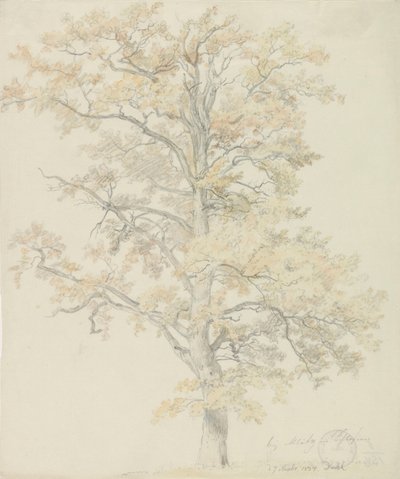 Carvalhos com folhas de outono, Milicz de Johan Christian Dahl
