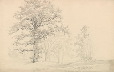 Árvores de folha caduca de Johan Christian Dahl
