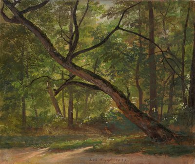 Lote no Grande Jardim perto de Dresden de Johan Christian Dahl