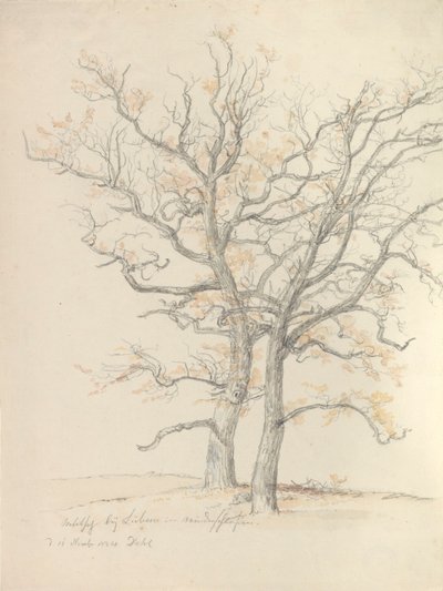 Dois carvalhos de Johan Christian Dahl