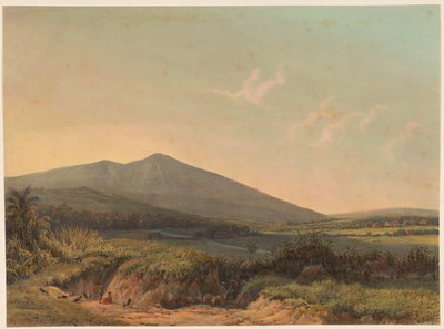 Vista de Kedungbadak Vista da terra de Kedong Badak e da estrada para Buitenzorg (título no objeto) de Johan Conrad Greive