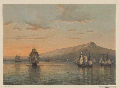 Vista do ancoradouro em Anjer em Java Cravo, costa norte de Java (residência Bantam) de Johan Conrad Greive