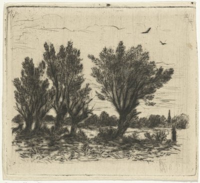 Fila do Salgueiro de Johan Frederik Croockewit