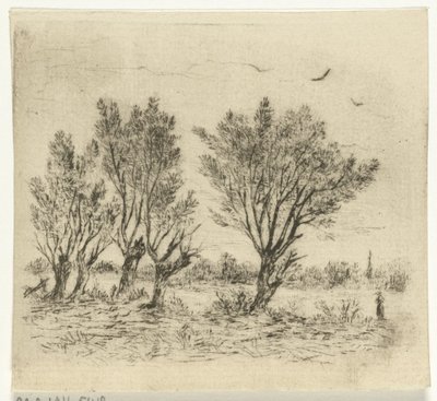 Fila do Salgueiro de Johan Frederik Croockewit
