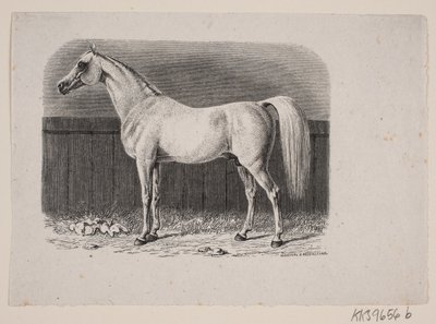 Um cavalo de Johan Frederik Rosenstand