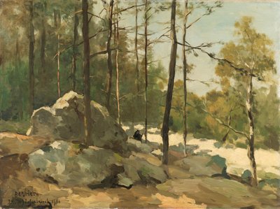 Vista arborizada perto de Barbizon Vista da floresta perto de Barbizon de Johan Hendrik Weissenbruch