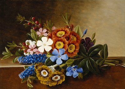 Pervinca, aurícula e jacintos de uva em uma borda de mármore, 1882 de Johan Laurents Jensen