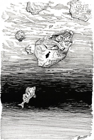 Peixes debaixo do plástico de Johan Liewendahl