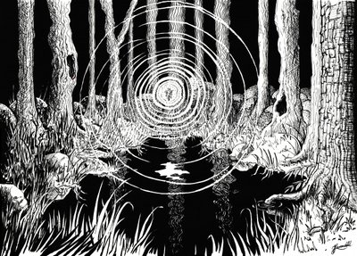 Ondulações da Floresta Mística de Johan Liewendahl