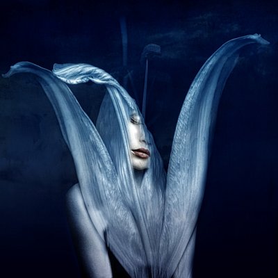 Belos monstros 3, 2018 (arte fotográfica digital) de Johan Lilja