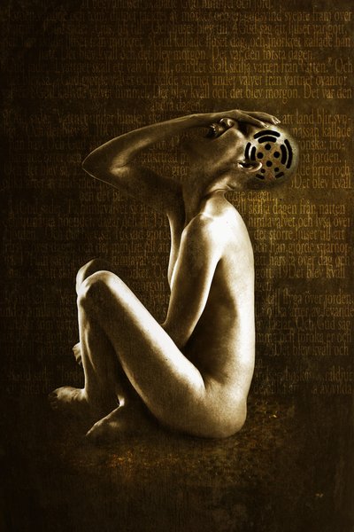 Grito, 2013 (manipulação de fotos) de Johan Lilja