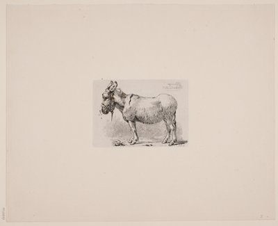 Dinamarquês: Um burro atormentado por moscas de Johan Lundbye