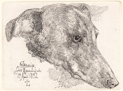 Dinamarquês: Hundehoved, Snip de Johan Lundbye