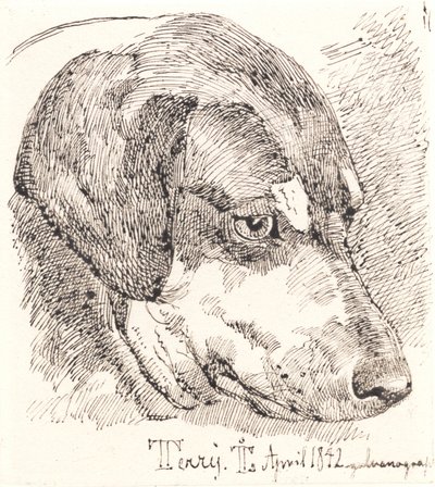 Dinamarquês: Cabeça de cão, Terry de Johan Lundbye