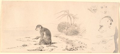 O gato macaco. º. estudos de cabeças de macaco etc. de Johan Thomas Lundbye