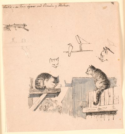 Os dois gatos. F.o. estudos de cabeças de gato, um pássaro, uma orelha de gato e trabalho com vigas. Ilustração para "Fábulas para Crianças" de Kaalund. Veja o comentário do catálogo de folhas. de Johan Thomas Lundbye