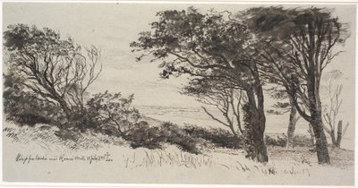 Árvores ventosas. Tempo alto de Johan Thomas Lundbye