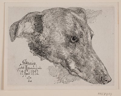 Hundehoved, Snip de Johan Thomas Lundbye