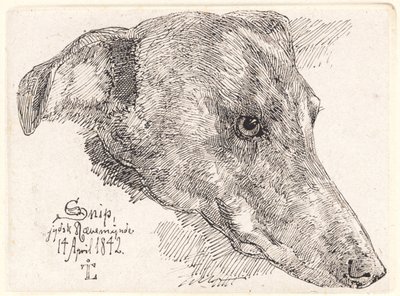 Hundehoved, Snip de Johan Thomas Lundbye