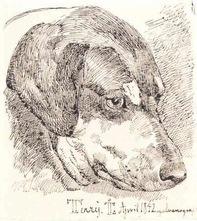 Hundehoved, Terry de Johan Thomas Lundbye
