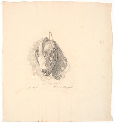 Crânio de cachorro de Johan Thomas Lundbye