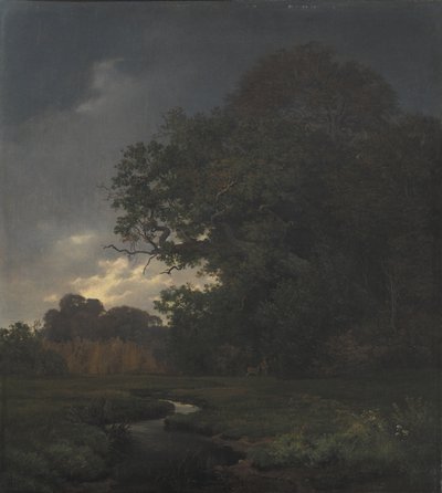 Paisagem em tempo nublado. À tardinha de Johan Thomas Lundbye