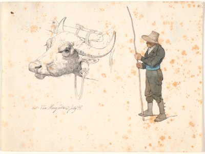 Estudo de cabeça de boi de madeira e de campagnole em pé de Johan Thomas Lundbye