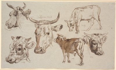 Revista de estudo da Vognserup. Estudos de cabeças de vacas, bezerros e suas cabeças de Johan Thomas Lundbye