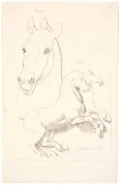 Estudos para esculturas antigas. Acima da cabeça de um cavalo, abaixo de um relevo com dois cavalos de Johan Thomas Lundbye