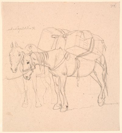 Dois cavalos com arnês de Johan Thomas Lundbye