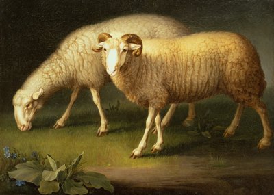 Um carneiro e uma ovelha (óleo sobre tela) de Johan Wenzel Peter