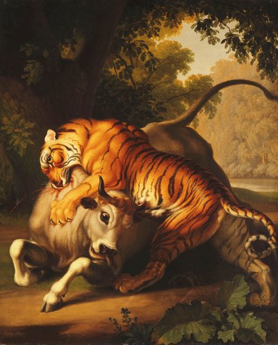 Um tigre atacando um touro, 1785 de Johan Wenzel Peter