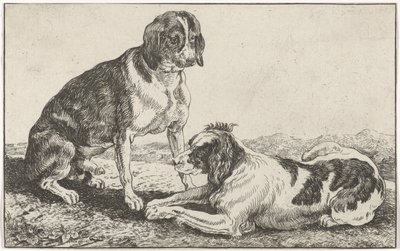 Dois cachorros de Johan le Ducq