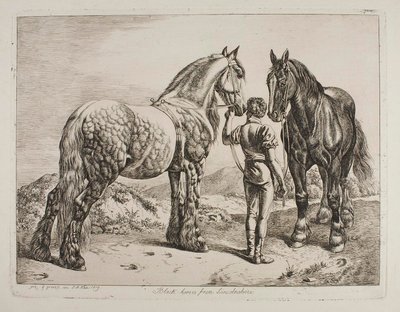 Cavalos Pretos de Lincolnshire de Johann Adam Klein
