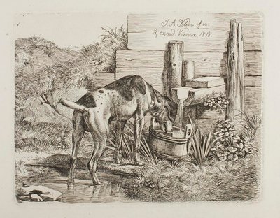 Água para cães de Johann Adam Klein