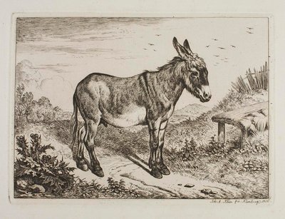 Burro de Johann Adam Klein