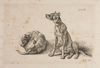 Guerrilha, Dois Cães de Johann Adam Klein