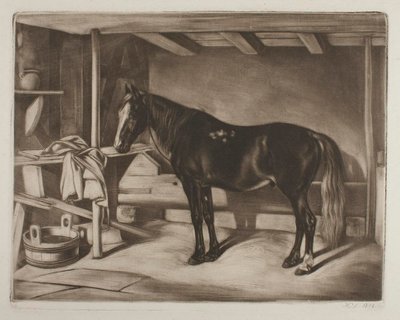 Cavalo num estábulo de Johann Adam Klein