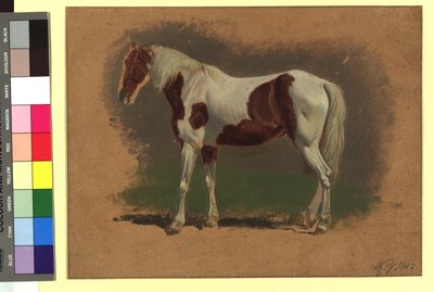 Pferdestudie de Johann Adam Klein