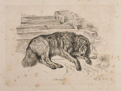Schweizer, um cão de Johann Adam Klein