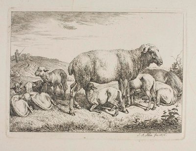 Ovelhas com cordeiros de Johann Adam Klein