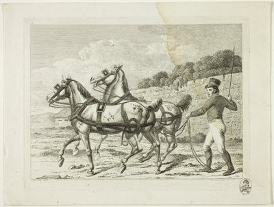 Escola de equitação e cavalos de Johann Adolph Darnstedt