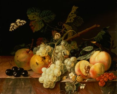 Frutas em uma borda de mármore com borboletas, caracol e lagarta (óleo sobre tela) de Johann Amandus Wink