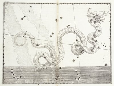 Constelação Serpens Caput e Serpens Cauda c.1603 de Johann Bayer