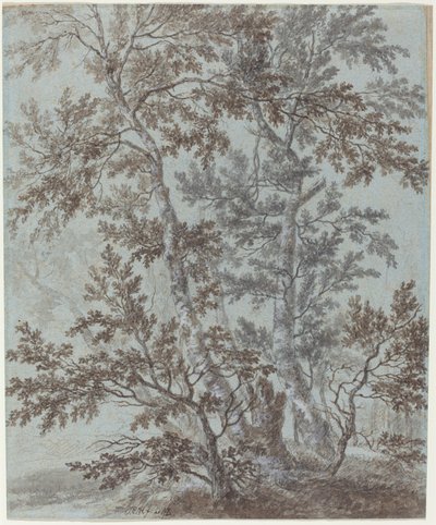 Um grupo de bétulas de Johann Caspar Huber