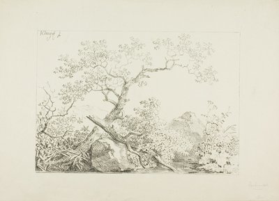 Árvores e rochas por água de Johann Christian Klengel